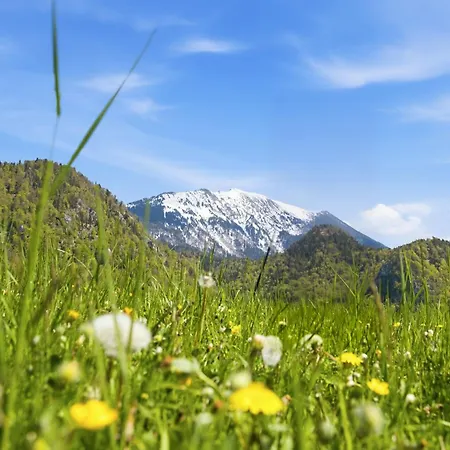 Alpine Marcella Apartamento